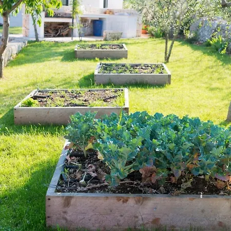 Helloapulia - L'Aia Di Cucumo Charming Accommodations